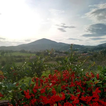 Le Piracante Caiazzo